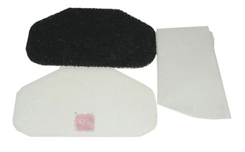 Delonghi Filtre Friteuse pour Pieces Cuisson Petit Electromenager - 5525114400