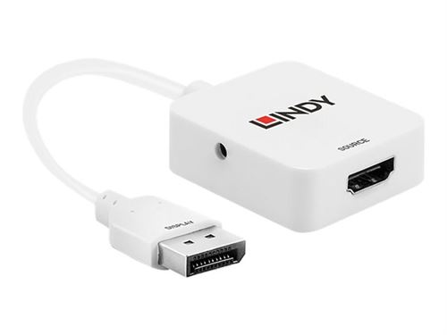Lindy - Adaptateur vidéo externe - HDMI - DisplayPort - Acquisition vidéo -  Achat & prix