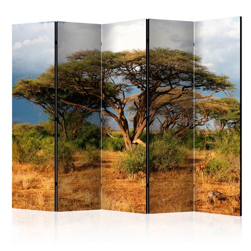 Paris Prix - Paravent 5 Volets samburu National Reserve, Kenya 172x225cm