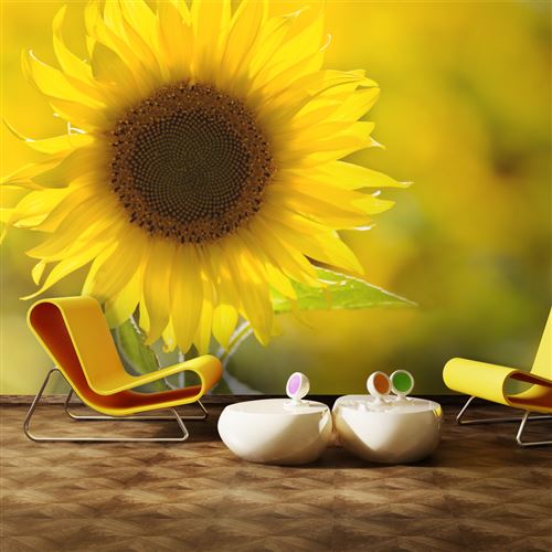 Papier peint - Tournesol - 400x309 - Fleurs - Tournesols -