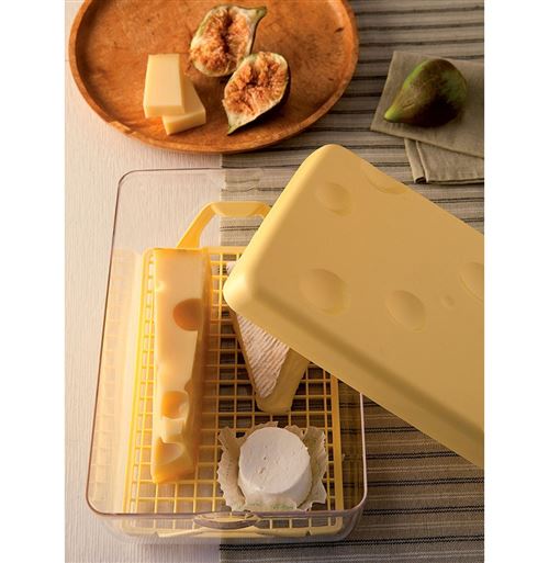 3€88 sur Boite conservation fromage plastique 26 x 17 x 10.5 cm - Boîte de  rangement - Achat & prix