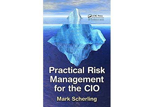 Practical Risk Management for the CIO (English Edition) Format Kindle