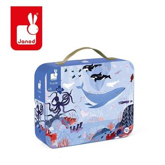 Puzzle ocean arctique