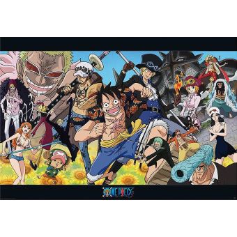 Poster One Piece Dressrosa 61 Cm X 91 5 Cm Poster Affiche Enroule Top Prix Fnac