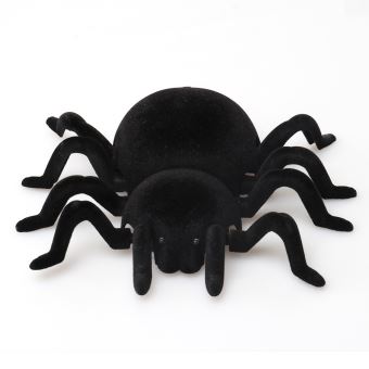 Halloween araignée noire jouet-farcie araignée-araignée douce-peluche araignée-halloween araignée-araignée jouet-halloween cadeau-farci animal-jouet d'Halloween - France