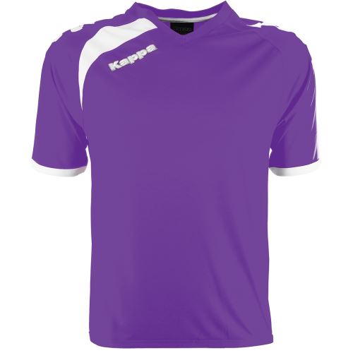 Chaussettes Uhlsport Team Pro Player taille Violet
