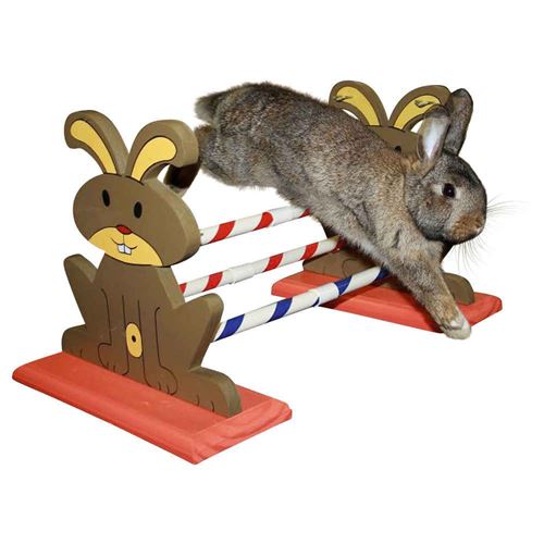 Obstacle Agility Kaninhop, pour rongeurs et lapins, taille: 62 cm par 33 cm et 34 cm - kerbl - KE-82855