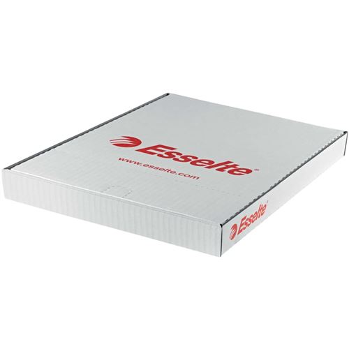 Esselte Pochettes Perfor&eacute;es, A4 , Pp, Transparente, 0,06 Mm