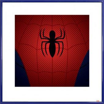 Spider-Man | Idées de cadeaux originaux