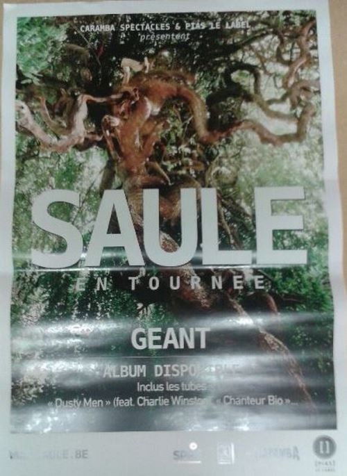 SAULE - 70x100 cm - AFFICHE / POSTER