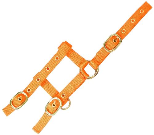 Norton Orange Licol Pour Cheval Mini - Image 3