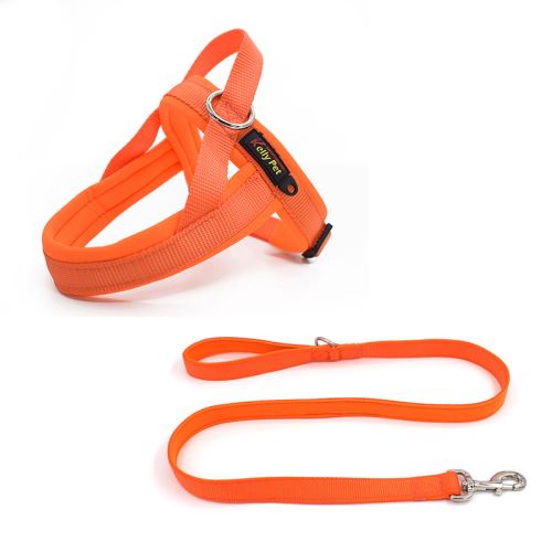 Meilleurs prix pour Harnais et Laisses KELLY Nylon kit pour chien - Orange (Taille: M)