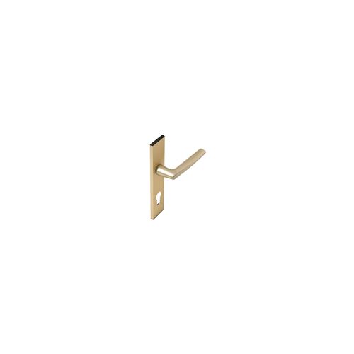 Vachette - Ensemble de poignée de porte Riv-Junior - Type clé I - Finition champagne - Image 3