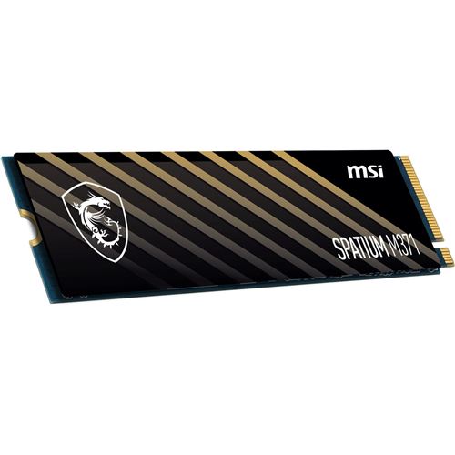 MSI SPATIUM M371 500 Go