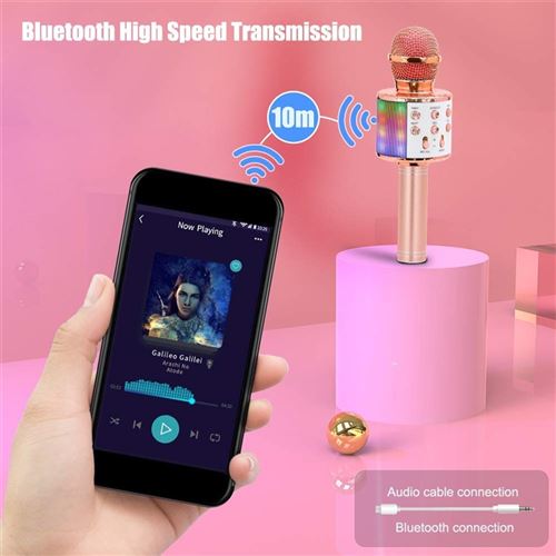 12€59 sur Microphone Karaoke Sans Fil, Karaoké Microphone Bluetooth  Portable pour Enfants/Adultes Chanter Rose - Microphone - Achat & prix