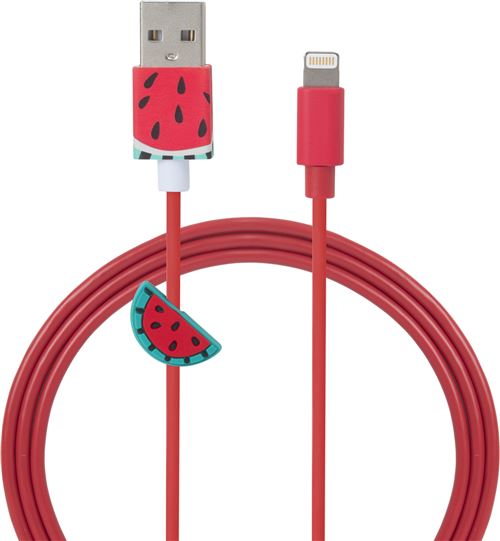Câble USB A /Connectique Lightning (MFI)