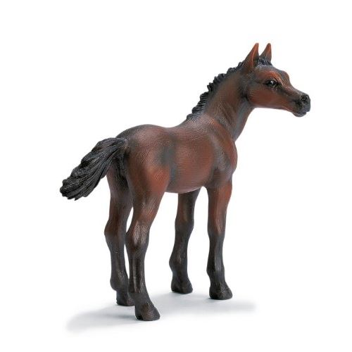 Poulain Arabe Schleich