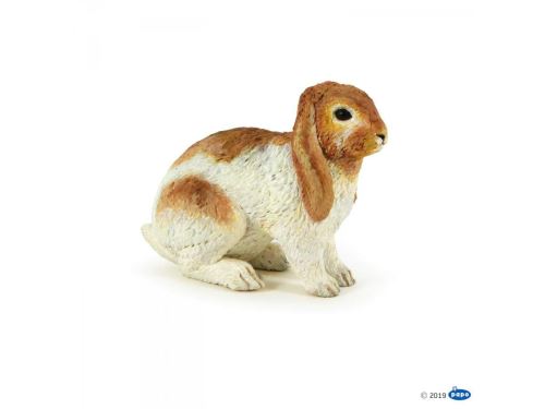 Lapin bélier