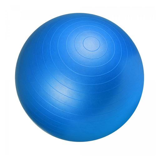 6€94 sur Swiss ball - Ballon de gym 55cm bleu - Ballons - Achat \u0026 prix |  fnac