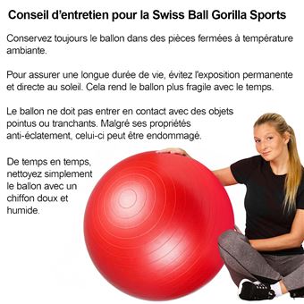 16€ sur Swiss ball - Ballon de gym 55cm bleu - Accessoire fitness yoga et  pilates - Achat & prix