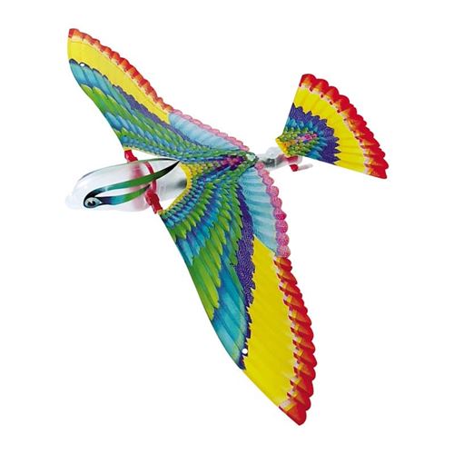 Paco le perroquet volant