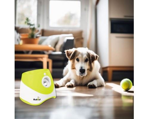 Meilleurs prix pour Lanceur de balles automatique pour chiens Ballouf Compact