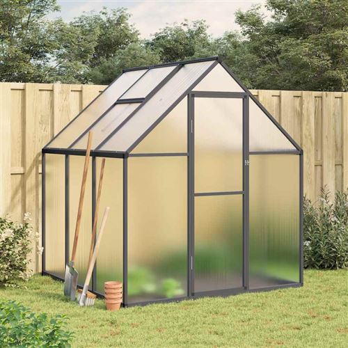 vidaXL Serre avec cadre de base anthracite 169x169x195 cm aluminium, serre en...