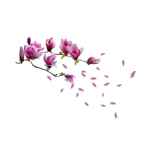 WALPLUS Autocollant de décoration de maison Fleur magnolia 130x110 cm
