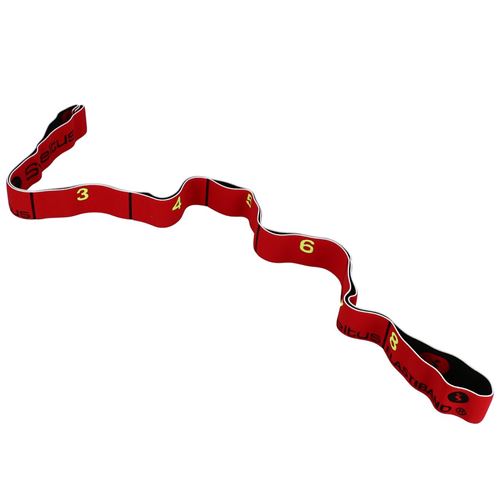 Sveltus Elastiband 10 kg 90 cm rouge + affiche