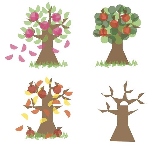 HABA Education 157175 étoiles de saison Arbre