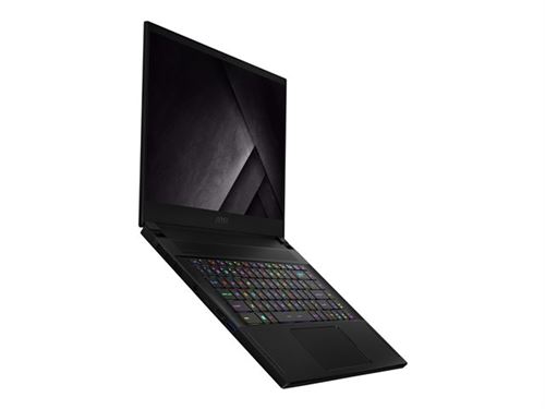 MSI Stealth GS66 10UH-058FR - Intel Core i7 10870H / 2.2 GHz - Win 10 Pro - GF RTX 3080 - 32 Go RAM - 2 To SSD NVMe - 15.6 1920 x 1080 (Full HD) @ 300 Hz - Wi-Fi 6 - noir profond