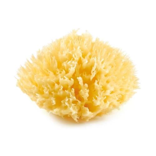thermobaby eponge de mer honeycomb n°10