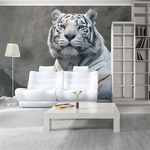 papier peint - tigre du bengale au zoo - artgeist - 250x193