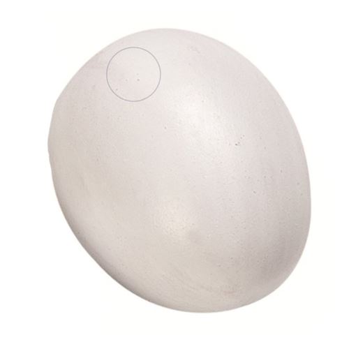 un Faux œuf de poule en plastique. pour volaille. - Flamingo Pet Products - FL-100951