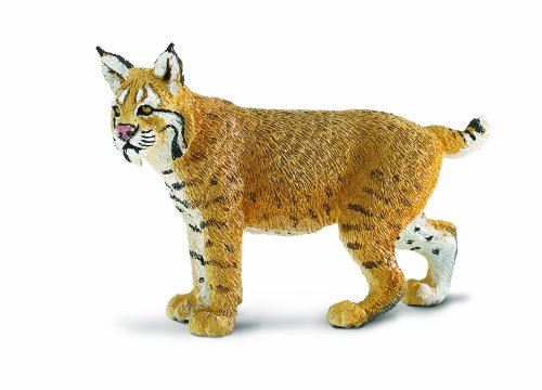 Safari Ltd Bobcat de la faune sauvage nord-américaine