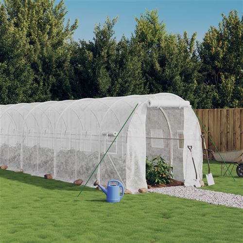 Non Communiqué Blanc Vidaxl Tuinkas Met Stalen Frame 12 Mâ² 6X2x2 M Wit3188029