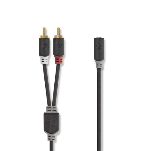 Câble Audio Stéréo 2x RCA Mâles - 3,5 mm Femelle 0,2 m Anthracite