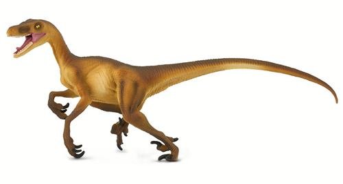 Safari - Dinosaure - Vélociraptor: Bébé