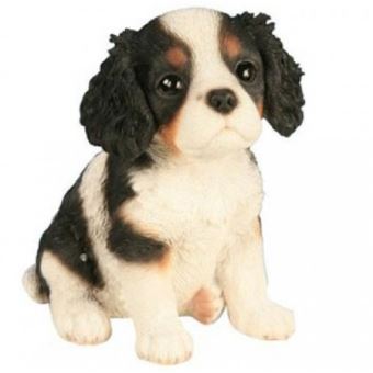 Cavalier King Charles Bebe H 15 Cm Riviera 15 Cm Decoration D Exterieur Achat Prix Fnac