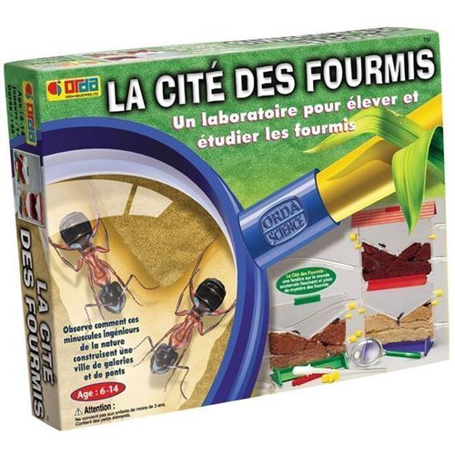 La Cité Des Fourmis