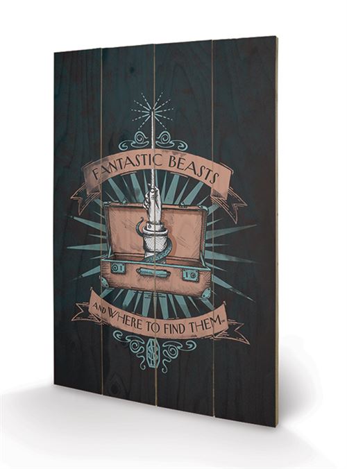 FANTASTIC BEASTS - Magical Case - Impression sur bois 40x59cm