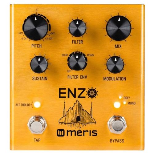 Meris Enzo Multi-Voice Instrument Synthesizer pédale d'effet