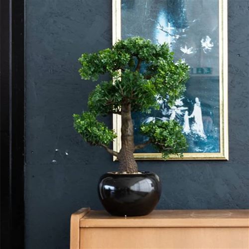 Emerald Mini bonsaï Ficus artificiel Vert 47 cm 420006