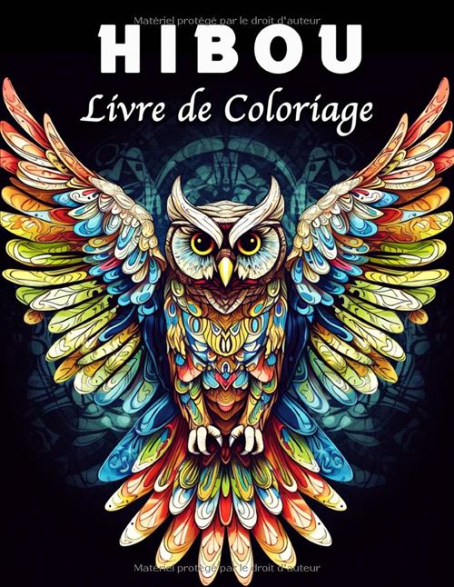 Hibou Livre De Coloriage Mandala – 40 Illustrations De Hiboux Anti-Stress Par Lea Schöning