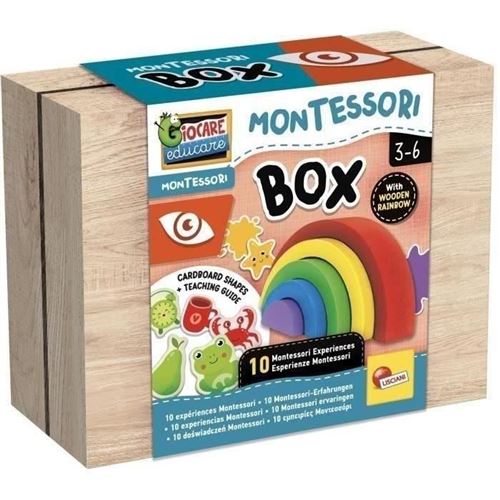 Jeu Éducatif - Lisciani - Montessori Box - La Vue - Arc-En-Ciel En Bois - Couleurs Et Vision - Activités Montessori