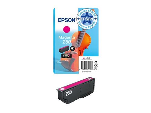 Epson Sglpack MG 250 ink