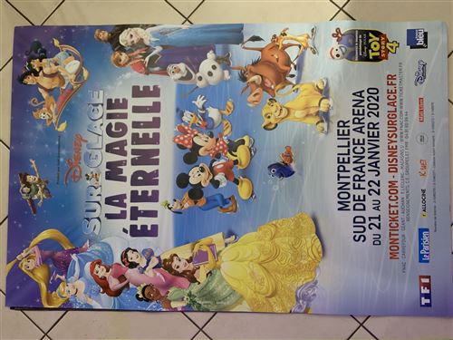 DISNEY - Personnages - Princesses - 80x120cm - Affiche