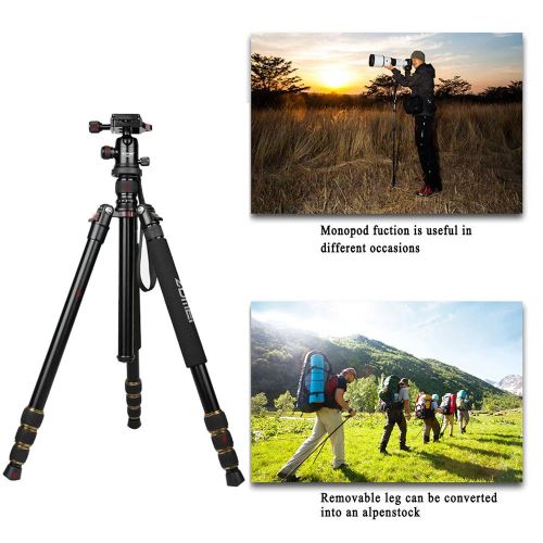 Zomei Q666 trépied portable pour Canon DSLR caméra
