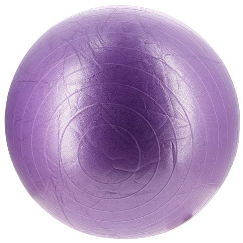 Ballon De Fitness 75 Cm Parme SVELTUS