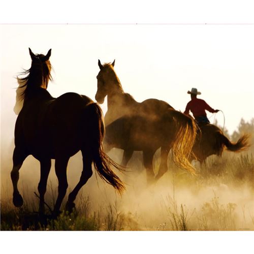 Wild West, photo murale intissée, 360x270 cm, 4 parts